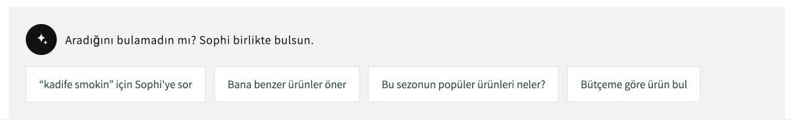 The search recovery block: 'Didn't find it? Sophi will help', a chip with the shopper's search words and three recovery chips.